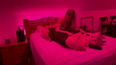 bodiddly64 online show from February 2026 08:02:02 AM