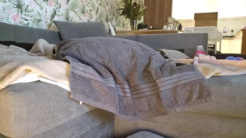 Snapshot of bombelelelek chatting on March 2025 12:07:02 AM DeeDeeAndDexter online show from March 2025 12:07:02 AM