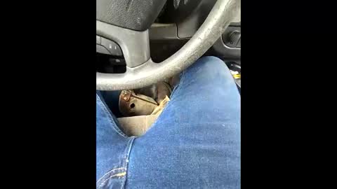 bombinshaman online show from February 2026 05:19:02 PM