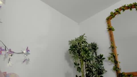   online show from October 2025 11:48:02 PM