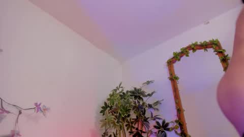   online show from February 2026 02:53:01 AM