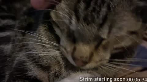 Booker Baxton online show from December 2024 04:07:02 AM