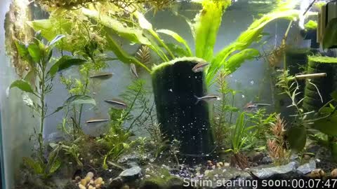 Booker Baxton online show from December 2024 04:01:02 AM