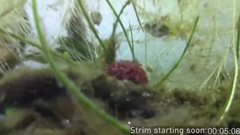 Booker Baxton online show from December 2024 04:05:02 AM