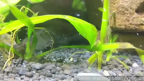 Booker Baxton online show from January 2025 04:04:01 AM