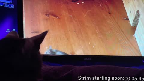 Booker Baxton online show from February 2025 04:05:01 AM