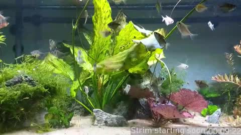 Booker Baxton online show from December 2025 03:58:02 AM