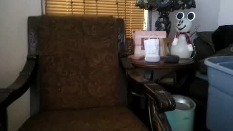 Snapshot of boredaf6678 chatting on December 2024 05:05:01 PM boredaf6678 online show from December 2024 05:05:01 PM