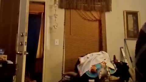 Snapshot of boredaf6678 chatting on November 2025 11:59:01 PM boredaf6678 online show from November 2025 11:59:01 PM