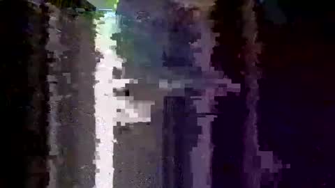 Snapshot of boredaf6678 chatting on December 2025 01:25:01 AM boredaf6678 online show from December 2025 01:25:01 AM