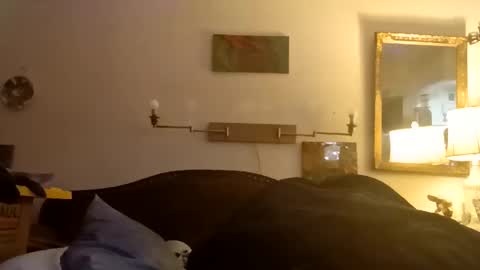 Snapshot of boredaf6678 chatting on December 2025 01:10:01 AM boredaf6678 online show from December 2025 01:10:01 AM