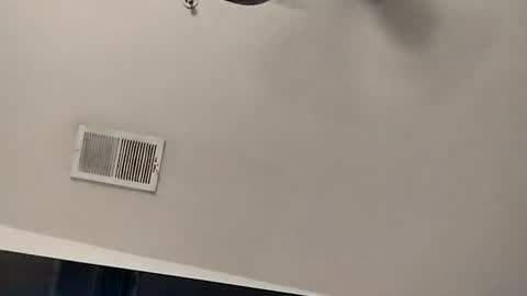 boredaf6678 online show from June 2026 11:20:01 PM