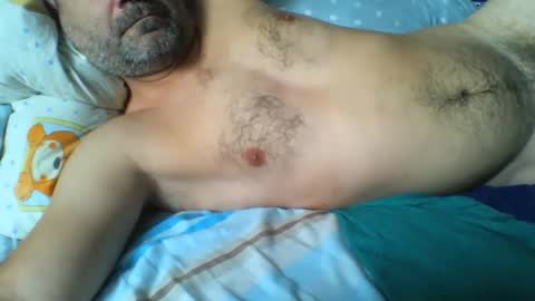 boxy online show from November 2025 08:04:02 AM