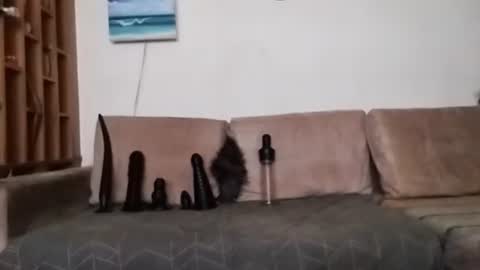 Bes7assquirt online show from January 2025 07:29:02 PM