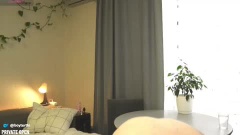 BoyTurtle online show from November 2025 10:04:02 AM