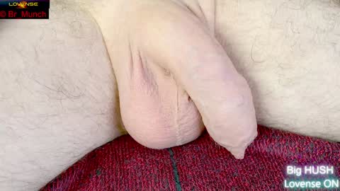 Snapshot of br_munch chatting on January 2025 06:12:01 AM Baron online show from January 2025 06:12:01 AM