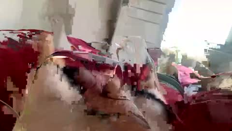 brad2518181 online show from February 2025 06:26:01 PM