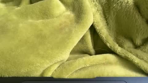 Brad online show from April 2026 01:59:01 PM