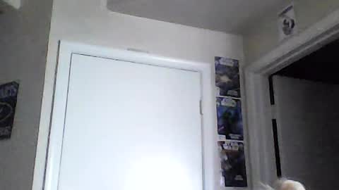 i am a naughty jedi knight online show from June 2026 02:08:01 PM