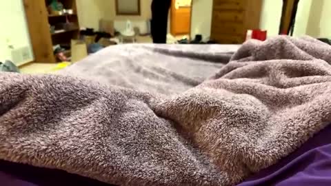 brandondot online show from December 2024 07:26:02 AM