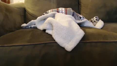 brandondot online show from December 2024 08:04:02 AM