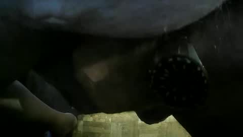 bravermann1 online show from November 2025 12:49:02 PM