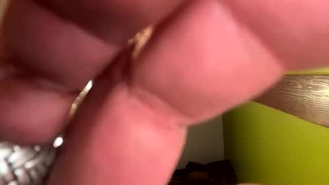 Snapshot of bravo323 chatting on March 2026 03:54:02 AM bravo323 online show from March 2026 03:54:02 AM