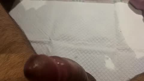 Snapshot of brenno95 chatting on February 2026 11:11:02 AM brenno95 online show from February 2026 11:11:02 AM