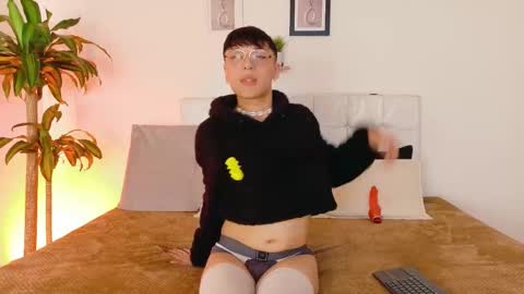 breydihard online show from September 2025 04:36:02 AM