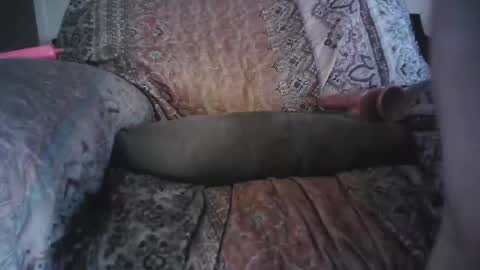 raining down on me online show from April 2026 02:21:01 PM