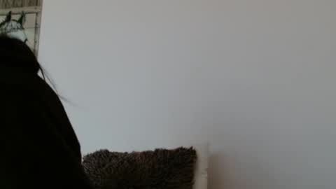 brigittebia777 online show from October 2025 10:11:02 AM