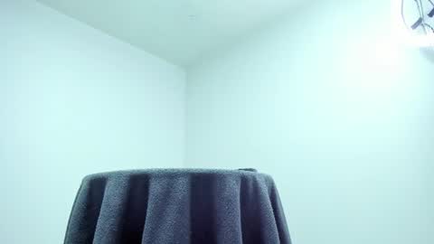 Snapshot of brigittemiller chatting on July 2026 11:08:02 PM BRIGITTE online show from July 2026 11:08:02 PM