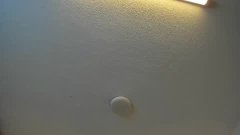 Snapshot of brittany069 chatting on September 2025 07:30:02 PM Brittany online show from September 2025 07:30:02 PM