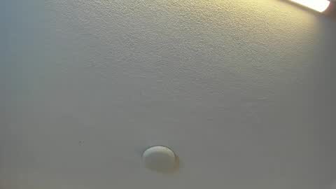 Snapshot of brittany069 chatting on April 2026 07:38:02 PM Brittany online show from April 2026 07:38:02 PM