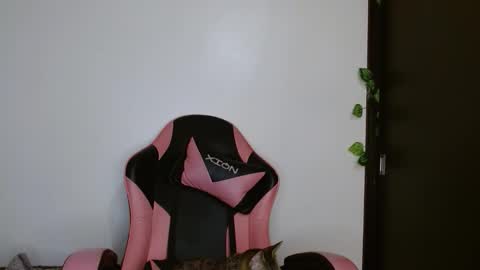 Snapshot of brittany_bubbles chatting on February 2026 04:20:02 AM maru miaw Please help me to reach 100 thumbs up online show from February 2026 04:20:02 AM