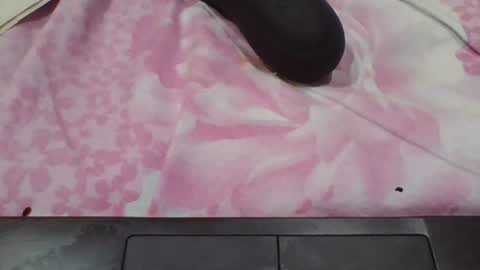 brownwolfie28 online show from October 2025 02:39:02 PM