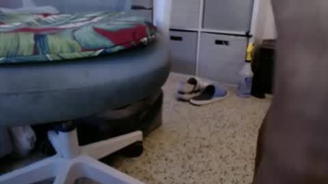 bruceb124u online show from May 2026 10:48:01 PM