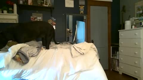 brunettebaby040 online show from September 2025 05:13:02 PM