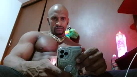 Enjoy the best muscle straws   online show from February 2025 11:21:02 PM