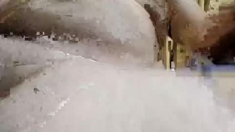 Snapshot of bryancody227 chatting on September 2025 03:23:02 PM bryancody227 online show from September 2025 03:23:02 PM