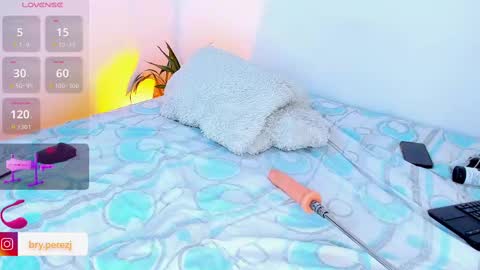 Snapshot of bryperez chatting on October 2025 03:06:01 AM bry online show from October 2025 03:06:01 AM