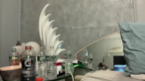 bubbahumps online show from January 2025 07:42:01 PM