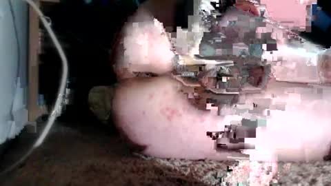 bubblebuttnnut online show from June 2026 01:38:02 AM