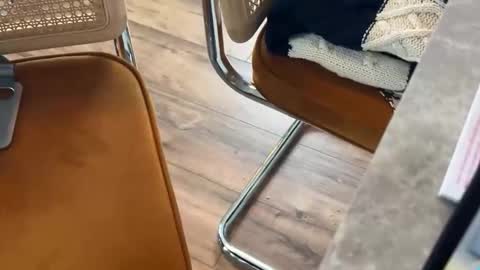 bucky58 online show from February 2026 03:30:02 PM