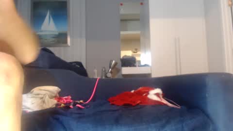 Snapshot of buddiup2 chatting on December 2024 08:52:01 AM buddiup2 online show from December 2024 08:52:01 AM