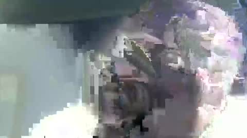 Casey online show from February 2026 04:53:02 AM