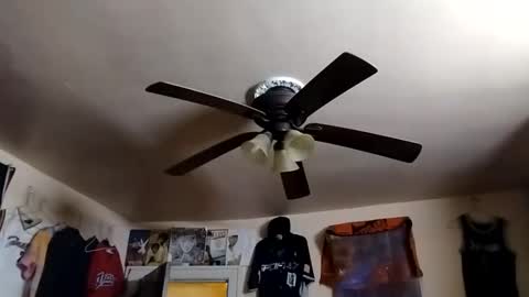 buddylovex online show from February 2026 04:39:02 AM