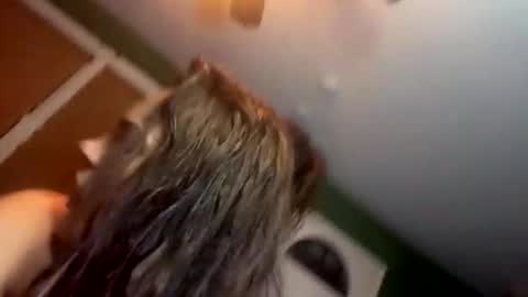 Snapshot of bugnbabs chatting on November 2025 12:57:02 AM Yourtrippyhippy online show from November 2025 12:57:02 AM