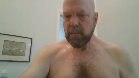 bulldog302w online show from February 2026 04:29:01 PM