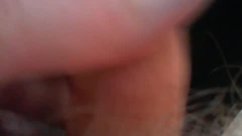 bullemoe online show from January 2026 12:20:02 PM